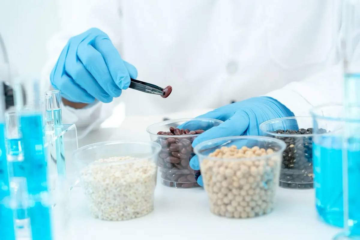 Food Safety Case Explained