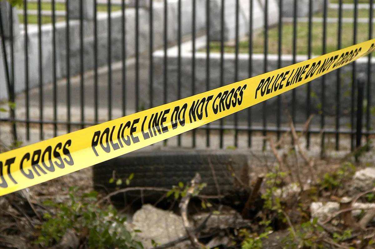The Bongaon encounter case explained