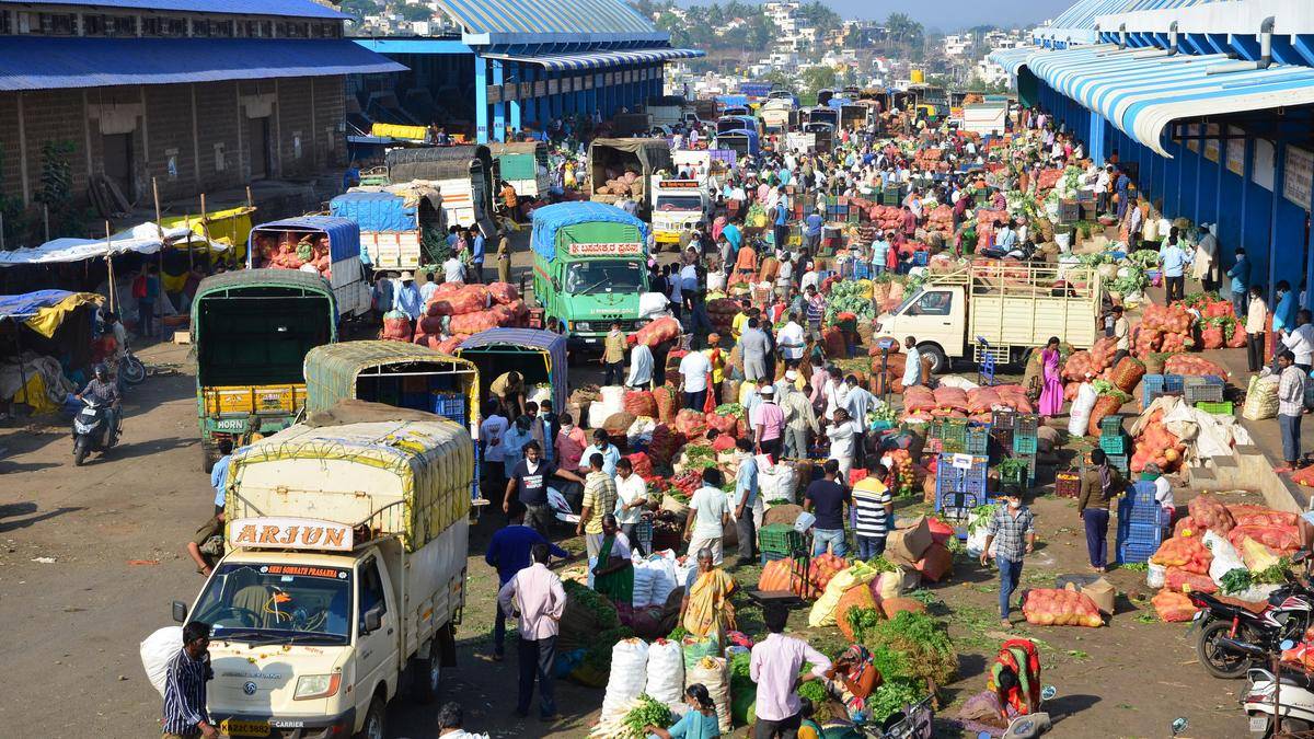Upa Lokayukta finds irregularities in APMC market yard in Belagavi