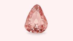Rare pink diamond goes on display in France 100 years after amateur heist