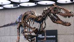 Nanotyrannus skeleton sells for $47.3m in New York auction
