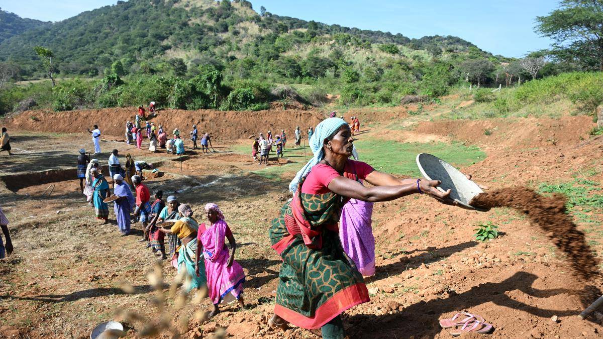 Tamil Nadu government orders additional 25 days of guaranteed employment for vulnerable rural households
