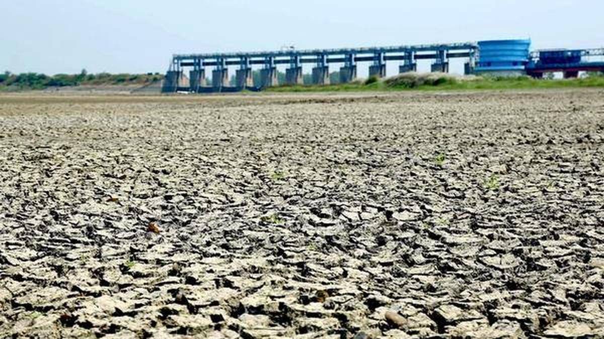 Mandal level committees to oversee El Niño mitigation measures in Telangana