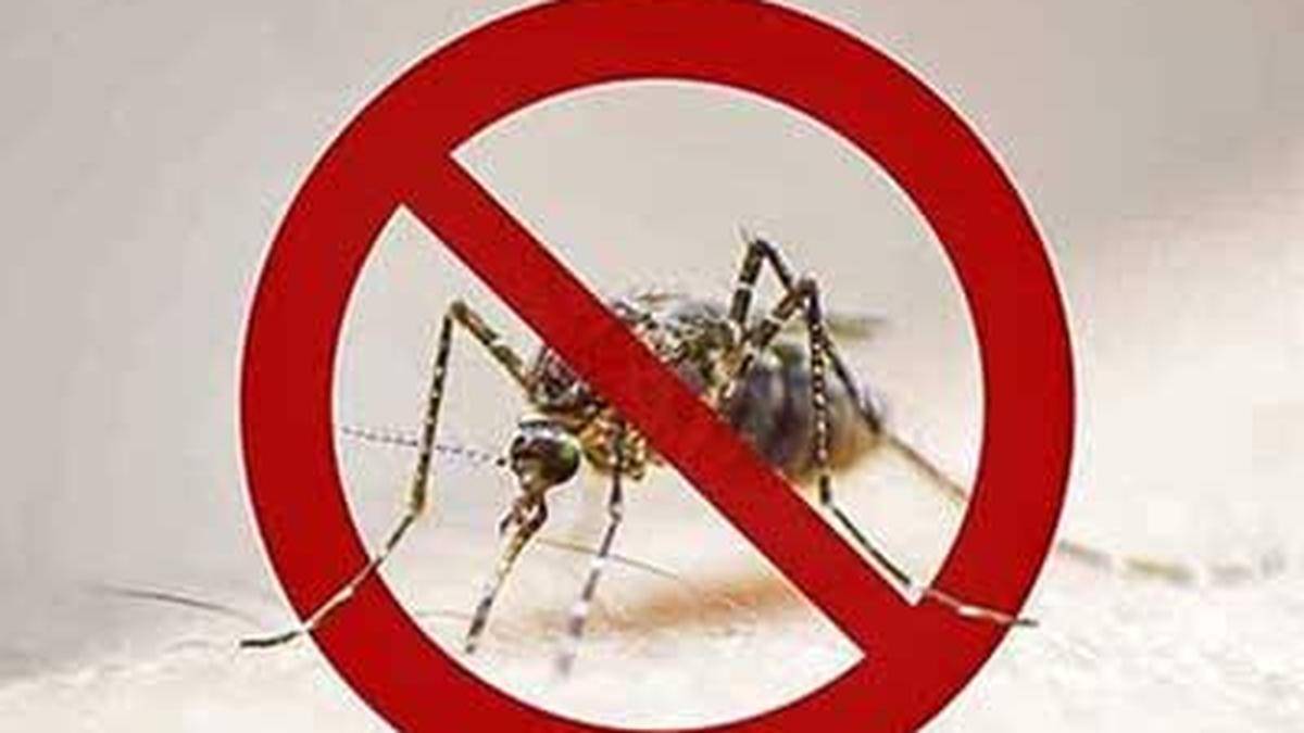 Infecções por malária preocupam especialistas em saúde pública em Keralam