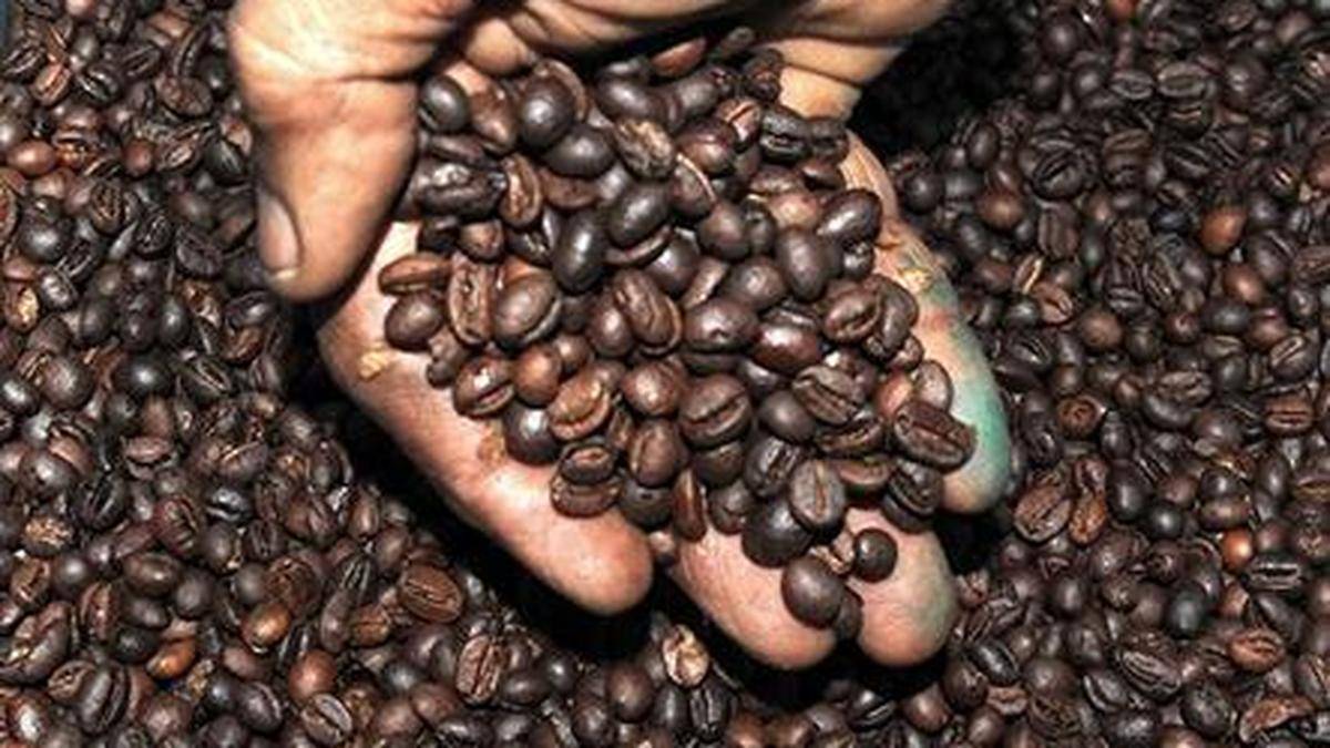 تهيمن السياسات وقضايا الإنتاج على الإحاطة الإعلامية السنوية لوكالة الشعب الكوري.