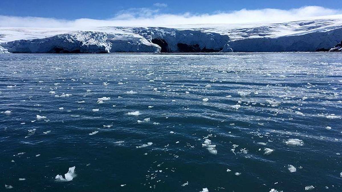 Decline in Antarctic sea ice has increased salinity: Study