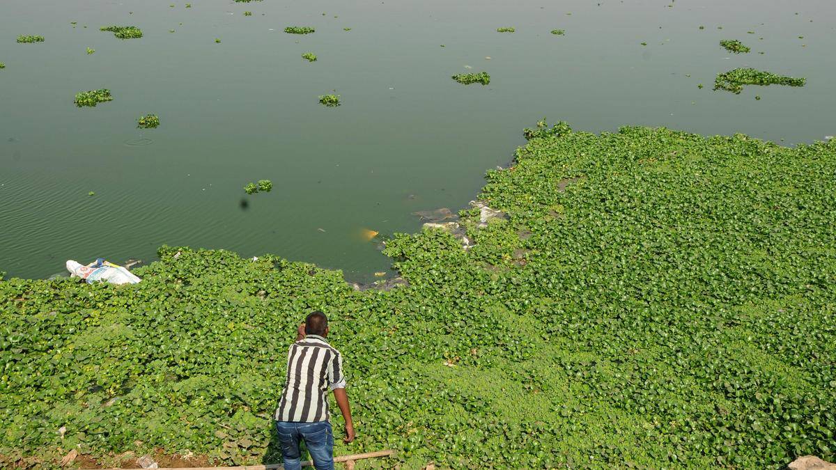 Kapra Lake set for revival with farmers’ support