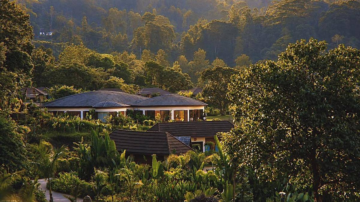 Karnataka’s coffee country: Inside its most immersive plantation stays