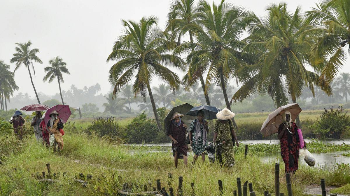 Orange alert for 4 Keralam districts amid heavy rain warning