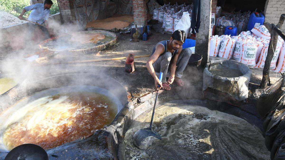 FSDA probes find unsafe chemicals in Belagavi jaggery units, issues warnings