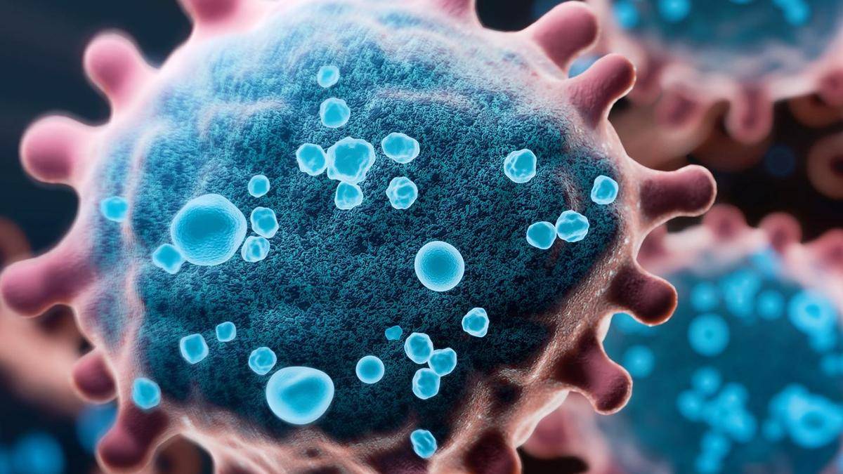 161 confirmed measles cases, one death reported in Kozhikode