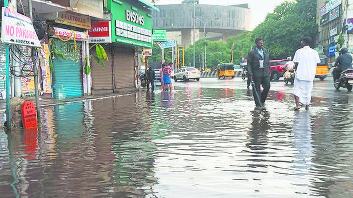 Schools closed in five Tamil Nadu districts after overnight rain