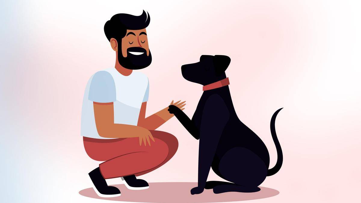 As pet population rises in Keralam, KVASU steps up dog handler training