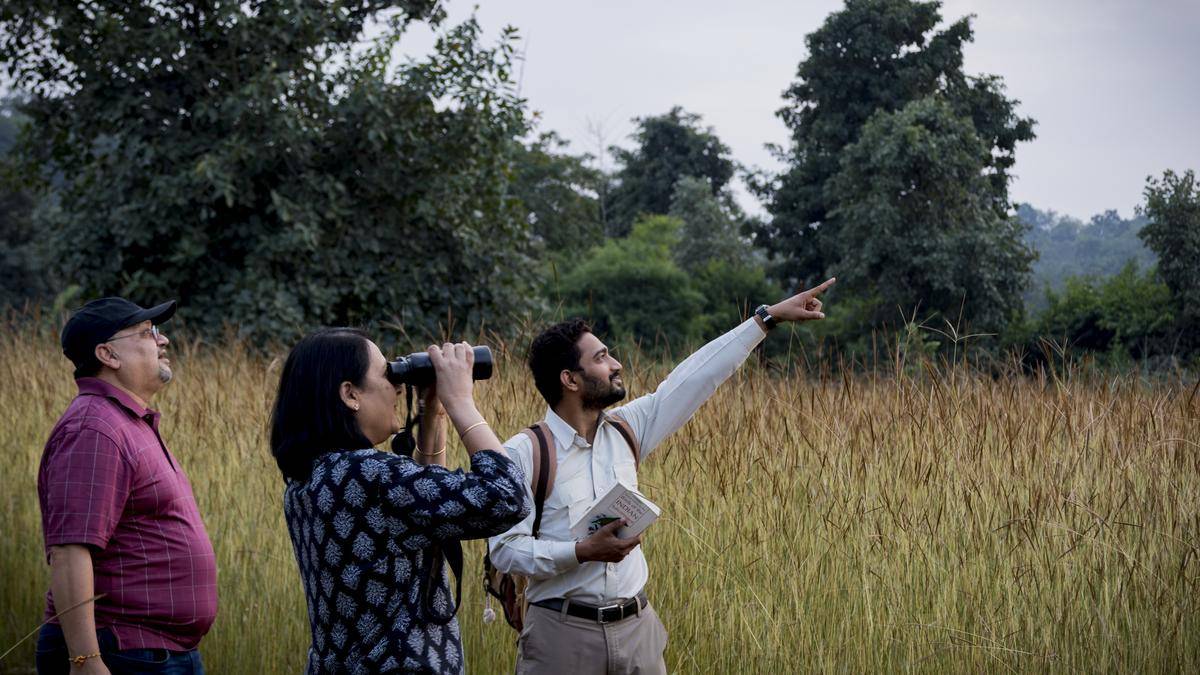 In Bandhavgarhs Wäldern: Die sich verändernde Natur der Tiger-Tourismus