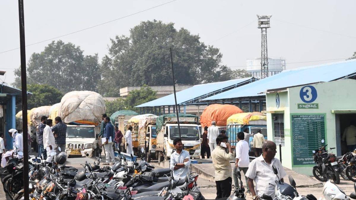 Cotton fetches record ₹9,260 a quintal in Telangana’s Adilabad, exceeds MSP ₹8,667