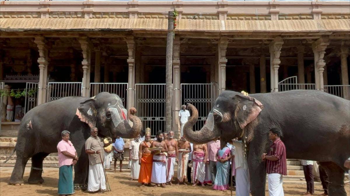 Vaikunta Ekadasi celebrations to begin on December 9 at Srirangam temple