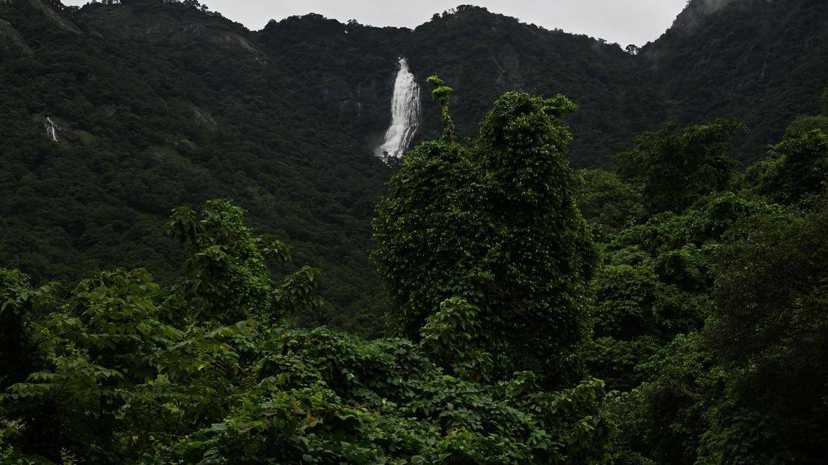 ESA row triggers political showdown in Keralam’s central Travancore
