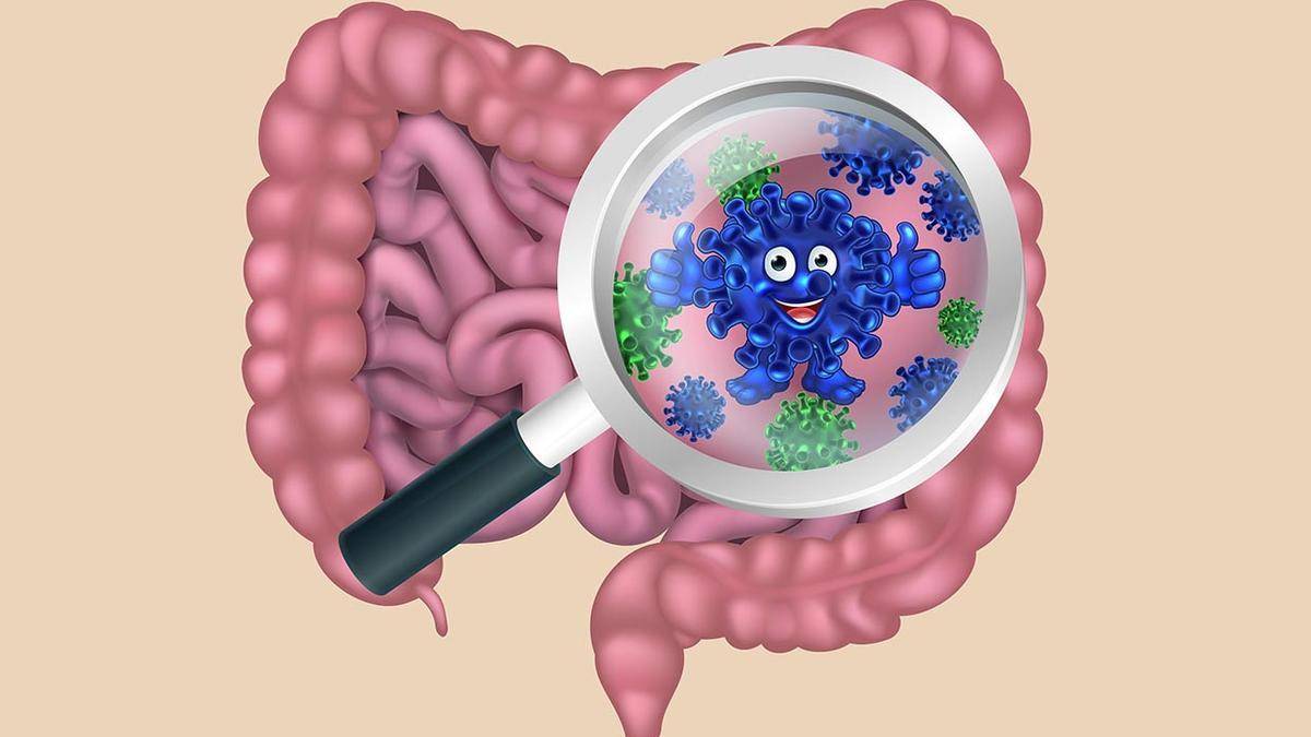 Study in Keralam sheds light on link between gut bacteria, Parkinson’s disease