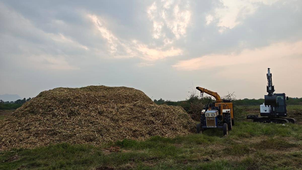 WRD begins removal of invasive plants from irrigation tanks along Palar River in Vellore