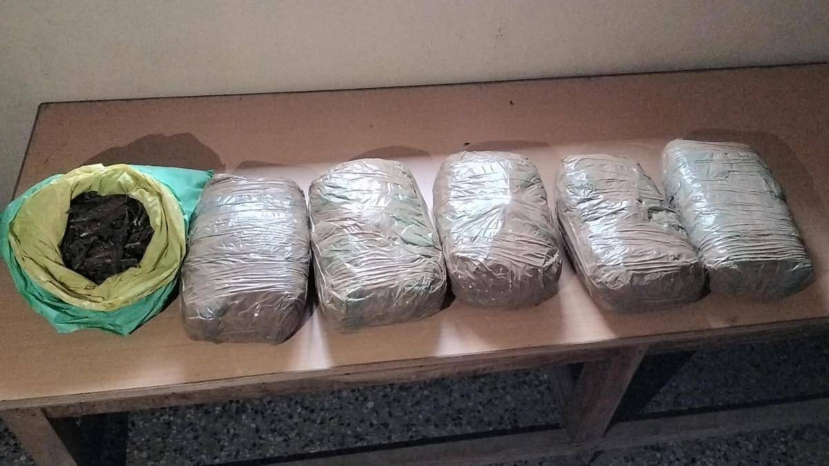 Four drug peddlers held in Tiruvannamalai
