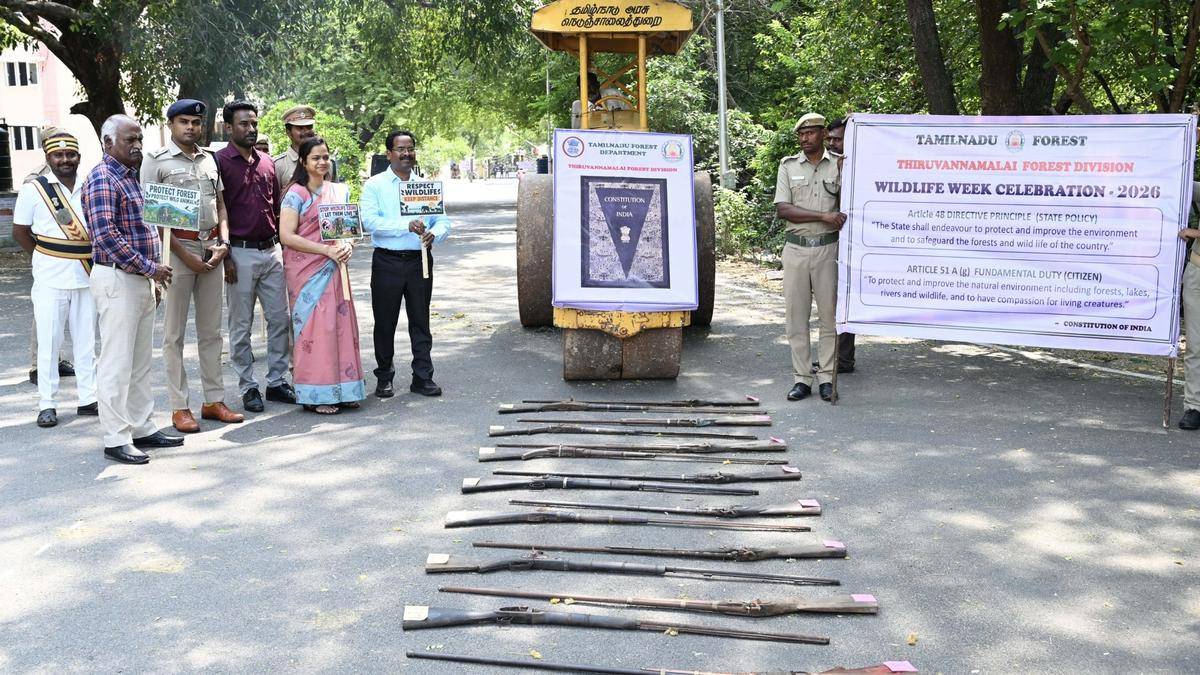 Forest Department destroys 125 illegal country-made guns in Tiruvannamalai
